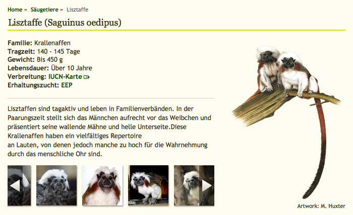 Zoo Vienna2